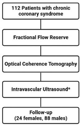 Multimodality OCT, IVUS and FFR evaluation of coronary intermediate grade lesions in women vs. men